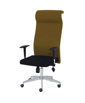 Yönetici ofis koltuğu RFC005 ürün önizleme